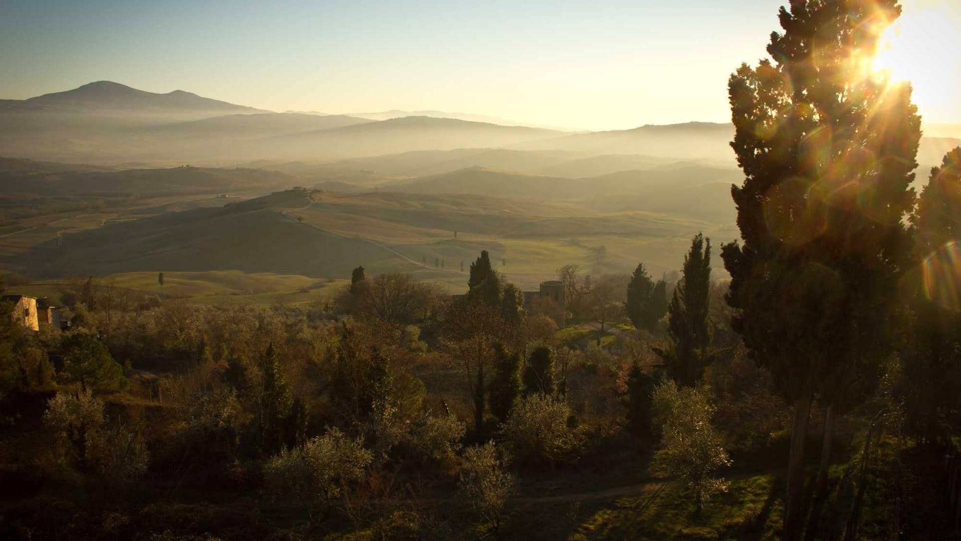 优化 Realme UIOPPO一加 ADB 精简列表与说明